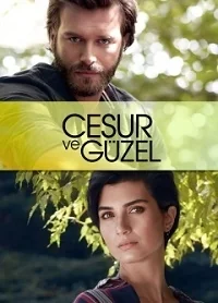 Сериал Отважный и красавица/Cesur ve Güzel  1 сезон онлайн