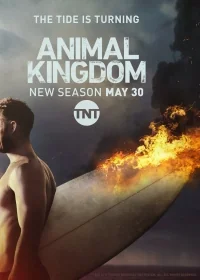 Сериал По волчьим законам/Animal Kingdom  2 сезон онлайн