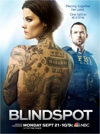 Сериал Слепое пятно/Blindspot  2 сезон онлайн