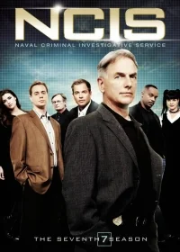 Сериал Морская полиция. Спецотдел./NCIS  13 сезон онлайн