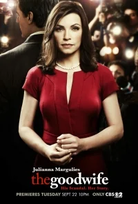 Сериал Хорошая жена/The Good Wife  2 сезон онлайн