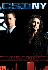 Сериал Место преступления: Нью-Йорк/CSI: NY  6 сезон онлайн