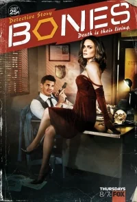 Сериал Кости/Bones  8 сезон онлайн