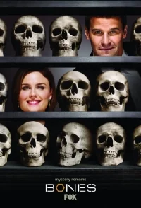 Сериал Кости/Bones  9 сезон онлайн