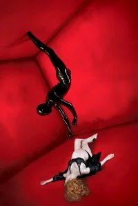 Сериал Американская история ужасов/American Horror Story  1 сезон онлайн