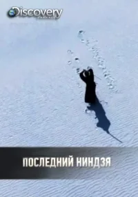 Сериал Последний ниндзя/Ultimate Ninja Challenge онлайн