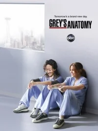 Сериал Анатомия страсти/Grey’s Anatomy  11 сезон онлайн