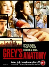 Сериал Анатомия страсти/Grey’s Anatomy  1 сезон онлайн