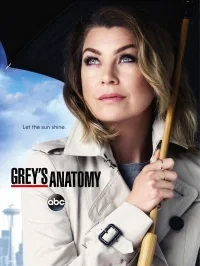 Сериал Анатомия страсти/Grey’s Anatomy  14 сезон онлайн