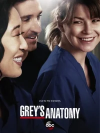 Сериал Анатомия страсти/Grey’s Anatomy  3 сезон онлайн