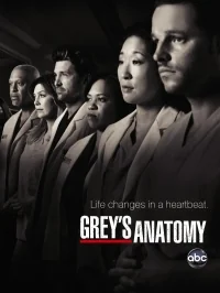 Сериал Анатомия страсти/Grey’s Anatomy  4 сезон онлайн