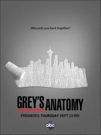 Сериал Анатомия страсти/Grey’s Anatomy  8 сезон онлайн