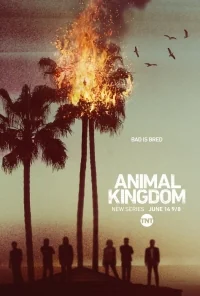 Сериал По волчьим законам/Animal Kingdom  1 сезон онлайн
