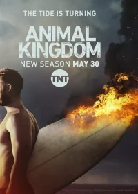 Сериал По волчьим законам/Animal Kingdom  3 сезон онлайн