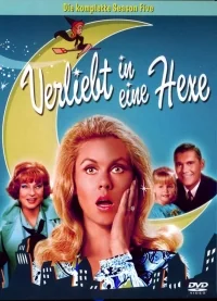 Сериал Моя жена меня приворожила/Bewitched  4 сезон онлайн