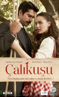Сериал Королек — птичка певчая (2013)/Çalıkuşu онлайн