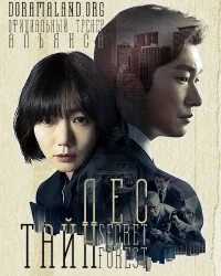 Сериал Тайный лес/Bimilui soop, Secret Forest онлайн