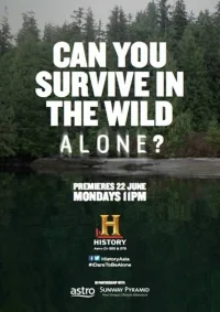 Сериал History channel: В изоляции/Alone  4 сезон онлайн