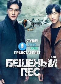 Сериал Бешеный пес/Mad Dog  1 сезон онлайн