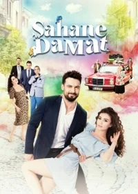 Сериал Замечательный зять/Sahane Damat онлайн