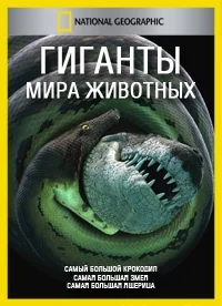Сериал Гиганты мира животных/How Big Can It Get? онлайн