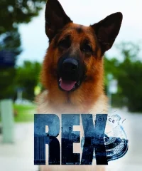 Сериал Хадсон и Рекс/Hudson & Rex  1 сезон онлайн