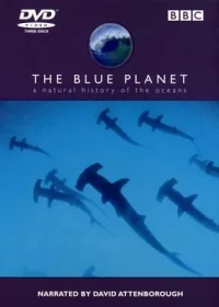 Сериал BBC: Голубая планета/The Blue Planet  1 сезон онлайн