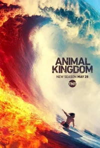 Сериал По волчьим законам/Animal Kingdom  4 сезон онлайн
