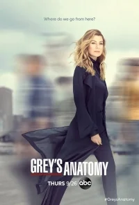 Сериал Анатомия страсти/Grey’s Anatomy  16 сезон онлайн