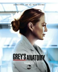 Сериал Анатомия страсти/Grey’s Anatomy  17 сезон онлайн