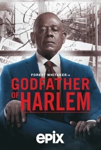 Сериал Крестный отец Гарлема/Godfather of Harlem  2 сезон онлайн
