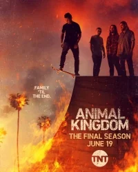 Сериал По волчьим законам/Animal Kingdom  6 сезон онлайн
