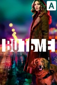 Сериал Во тьме/In the Dark  4 сезон онлайн