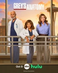 Сериал Анатомия страсти/Grey’s Anatomy  22 сезон онлайн